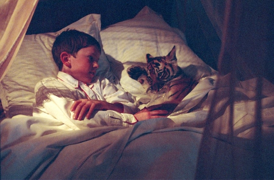 %title插图%num 虎兄虎弟 蓝光原盘下载+高清MKV版/虎仔两兄弟 / 双虎奇缘 / 两只老虎 / Two Brothers 2004 Deux frères 19.8G