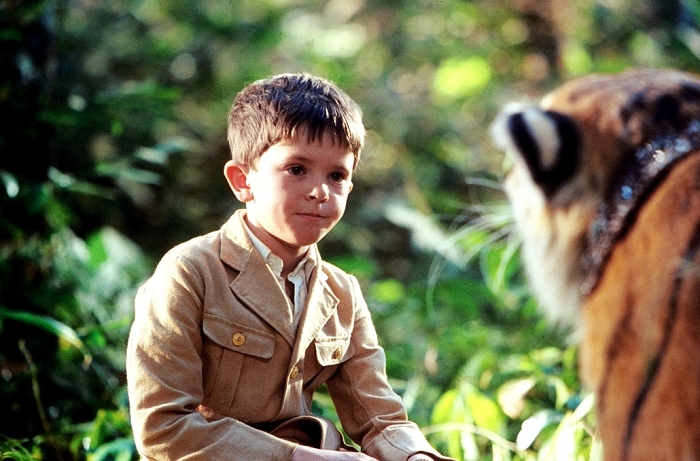 %title插图%num 虎兄虎弟 蓝光原盘下载+高清MKV版/虎仔两兄弟 / 双虎奇缘 / 两只老虎 / Two Brothers 2004 Deux frères 19.8G