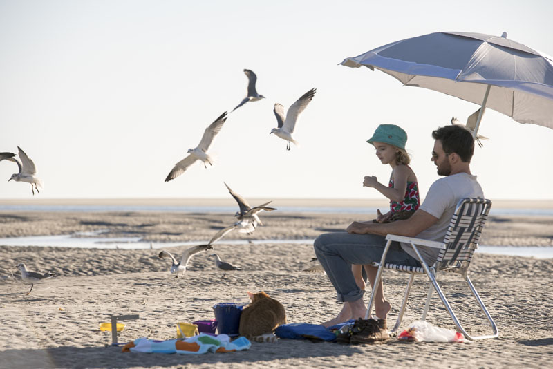 %title插图%num 天才少女 蓝光原盘+高清MKV版下载/天才的礼物(台)/天才 2017 Gifted 36.96G