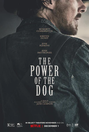 犬之力 蓝光高清MKV版/犬山记 2021 The Power of the Dog 5.8G