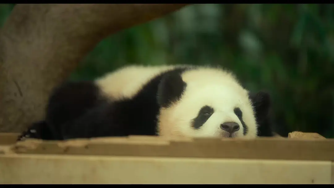 %title插图%num %title插图%num